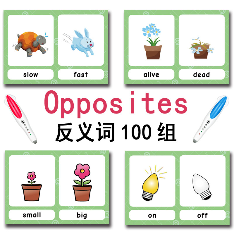 The 100 Groups Opposites Flash - Kids Toys China recension och pris