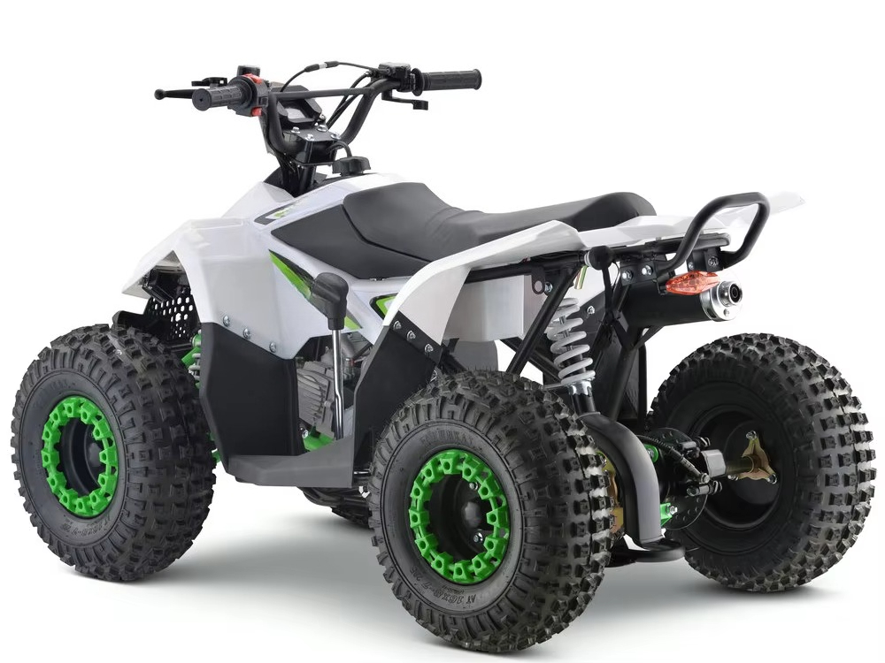 110cc Gas Powered Kids ATV 4 W - Kids Toys Quad recension och pris