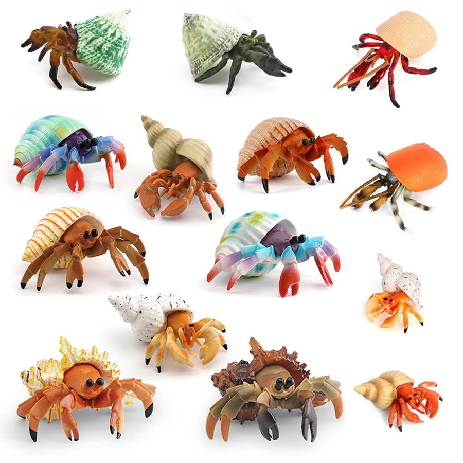 Realistic Hermit Crab Figurine - Kids Toys China recension och pris