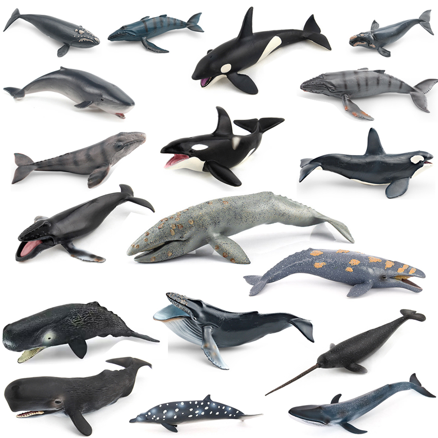 Realistic Humpback Whale Sperm - Kids Toys China recension och pris