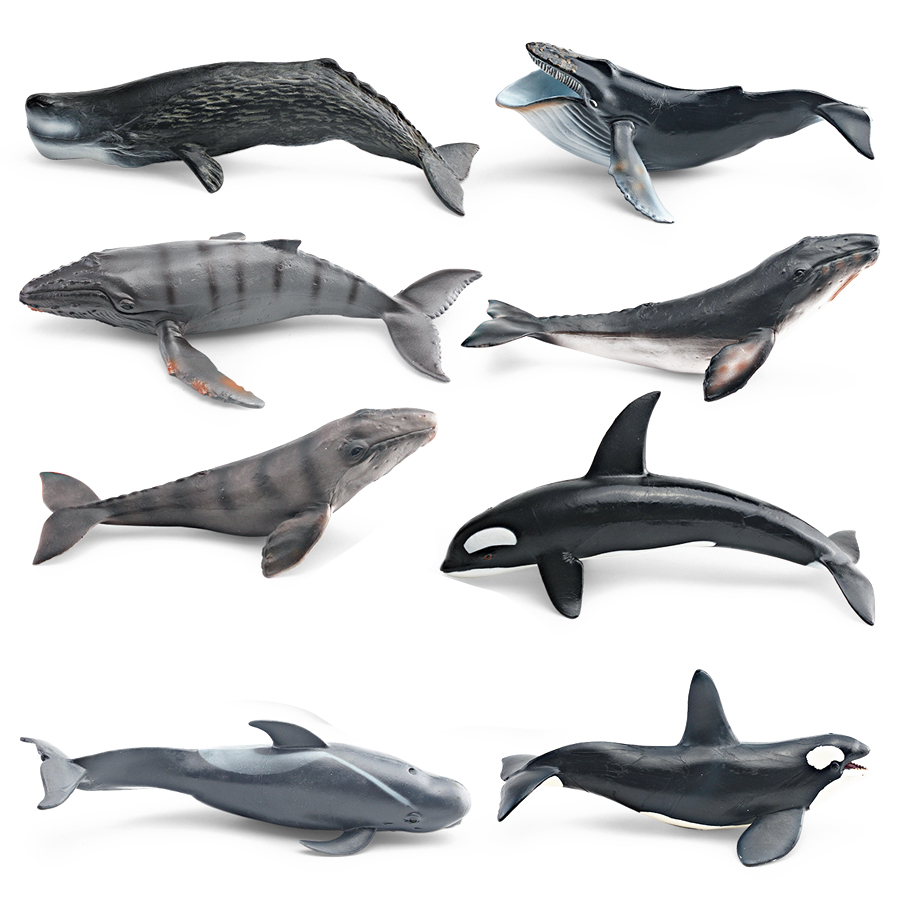 Realistic Humpback Whale Sperm - Kids Toys China recension och pris
