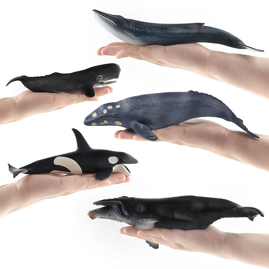 Realistic Humpback Whale Sperm - Kids Toys China recension och pris