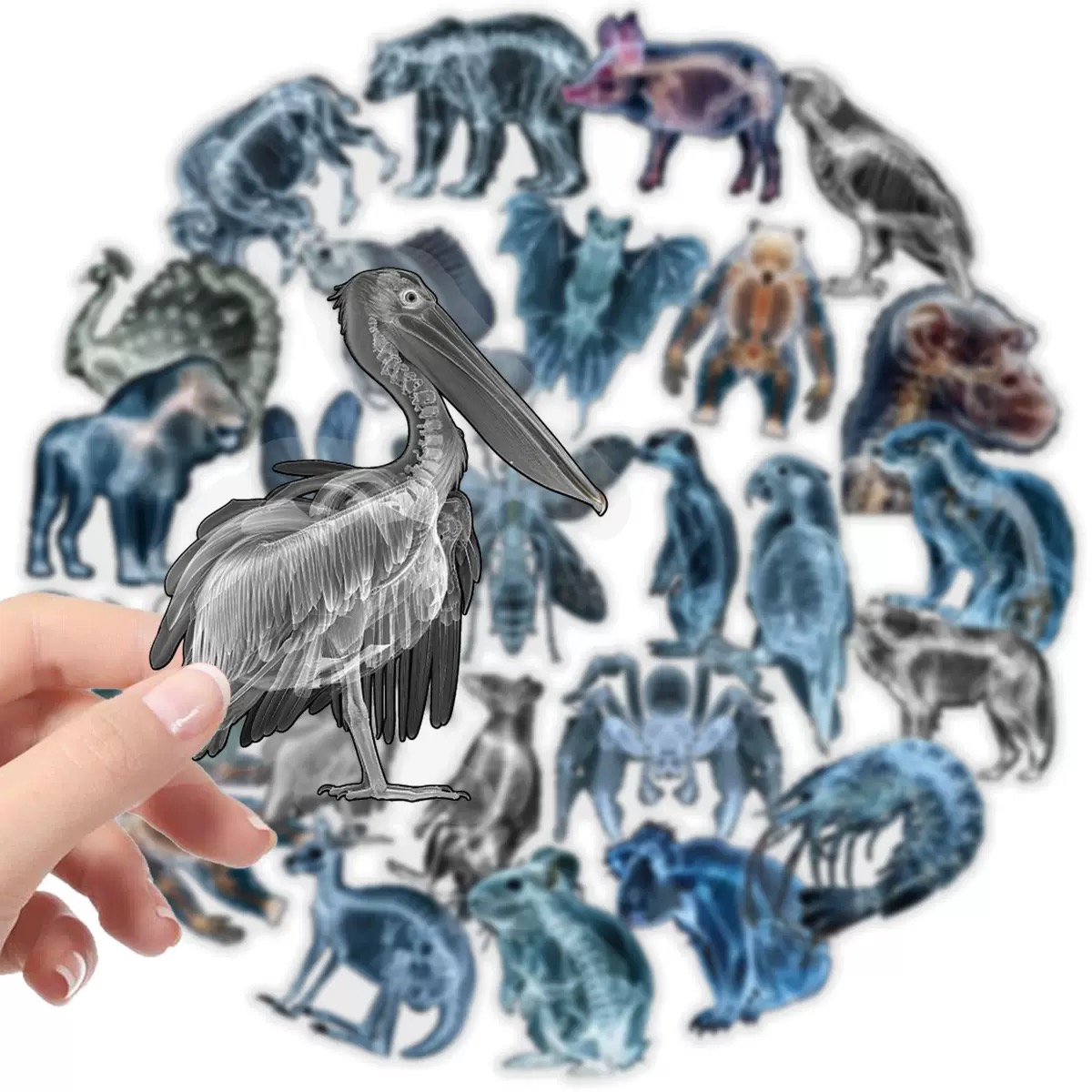 10/56pcs Animal Skeleton Stick - Kids Xray Toys recension och pris