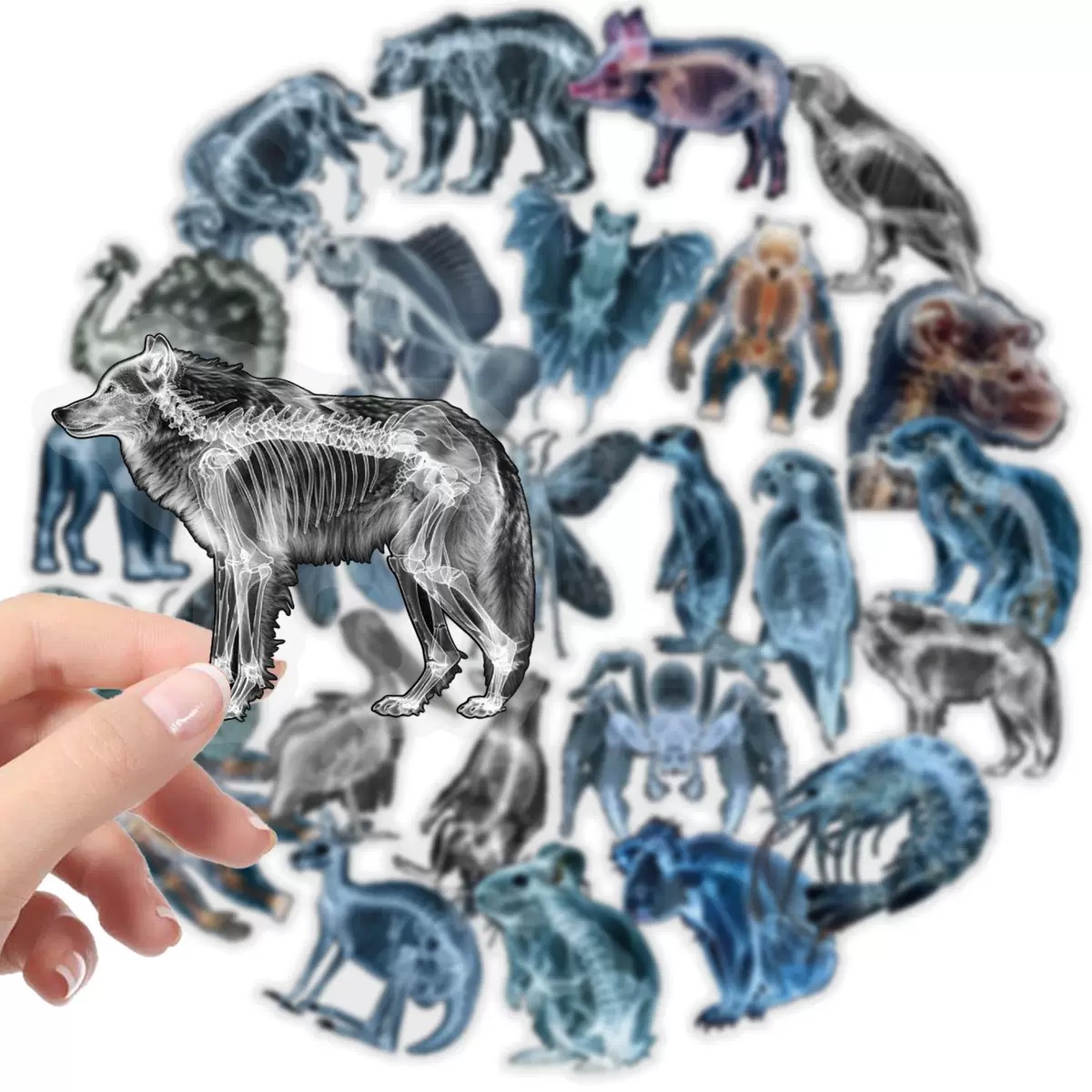 10/56pcs Animal Skeleton Stick - Kids Xray Toys recension och pris