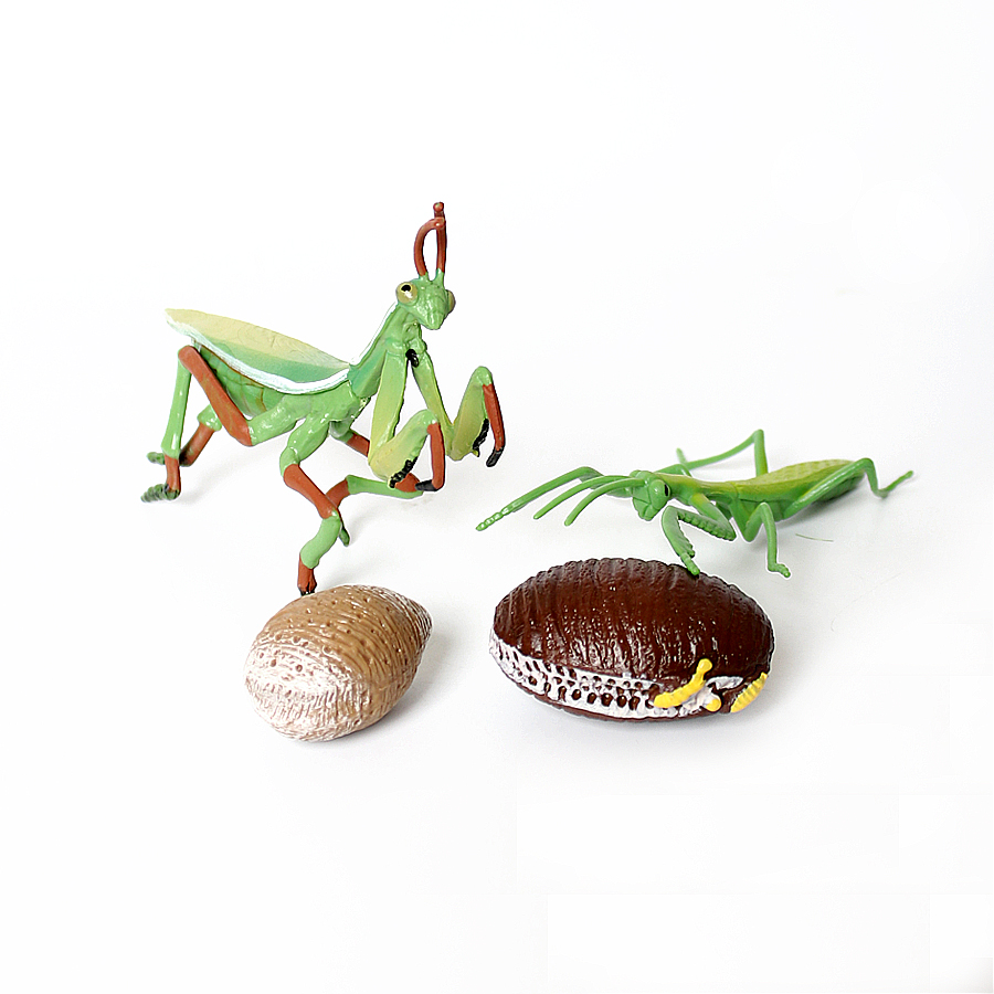 Realistic Orchid Mantis Dead L - Kids Toys China recension och pris